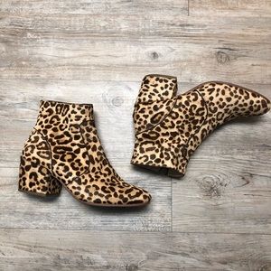 Steve Madden leopard booties🐆